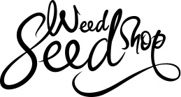 a Cannabis seedling