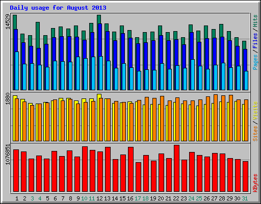 Daily usage for August 2013