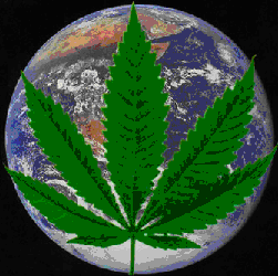 the Million Marijuana Marches, a global action item