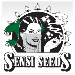 Sensi Seeds: Cannabis Seeds, Medicinal Use, Sensi Merchandise, Hemp and more