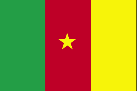 Flag of Cameroon