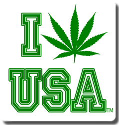 United States - Local Resources, Legalize Marijuana in United States