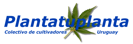 Uruguay - News and Information