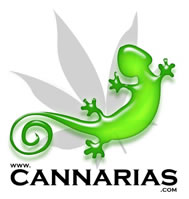 Spain - Resource, Org; local - Cannarias.com