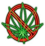 California: State Appeals Court Says Cities Can Ban Cannabis Dispensaries