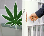 Angus Reid Poll: Three Quarters Of Americans Oppose Prison For Pot Offenses