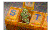 Text Box:  