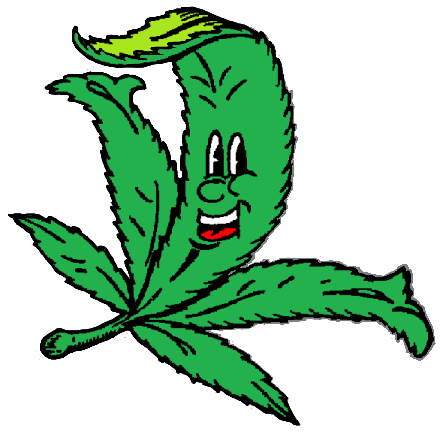 The Folks at MERCY say: